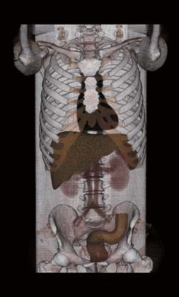 06-pbu60-3d
