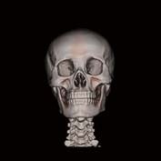 06-pbu60-head3d1