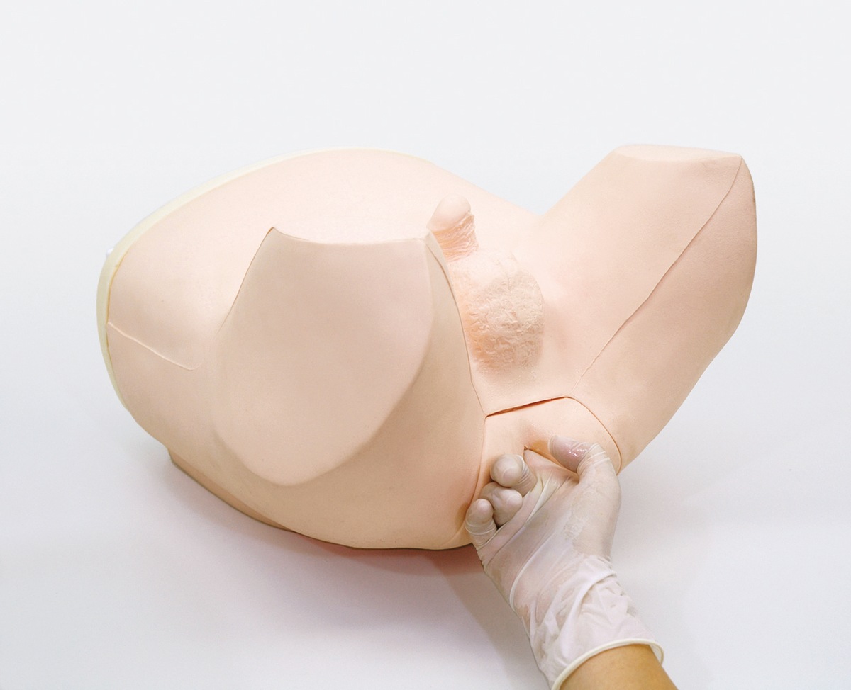 13-prostate-dsc0020