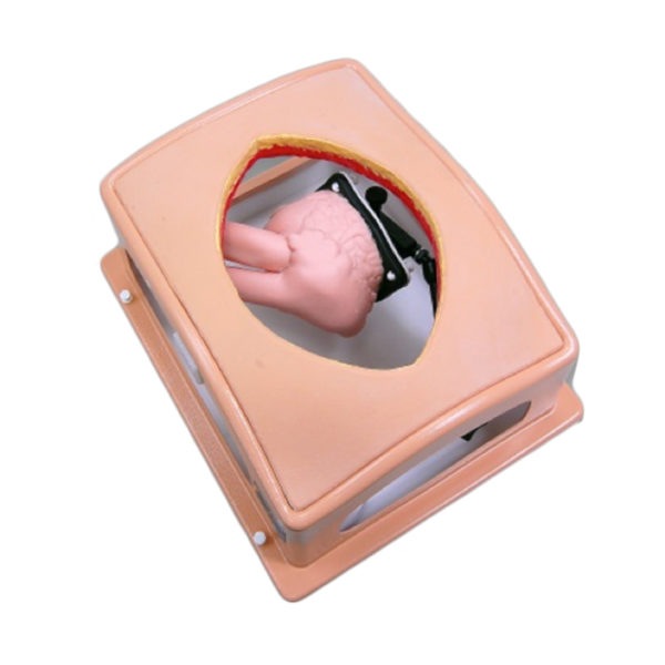 1351-heartcase-with-1074-600x600