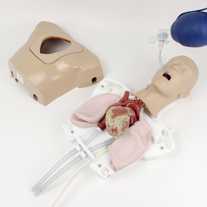 1502-c-enhanced-perfusion-beating-heart-trainer-20181219-0028-1