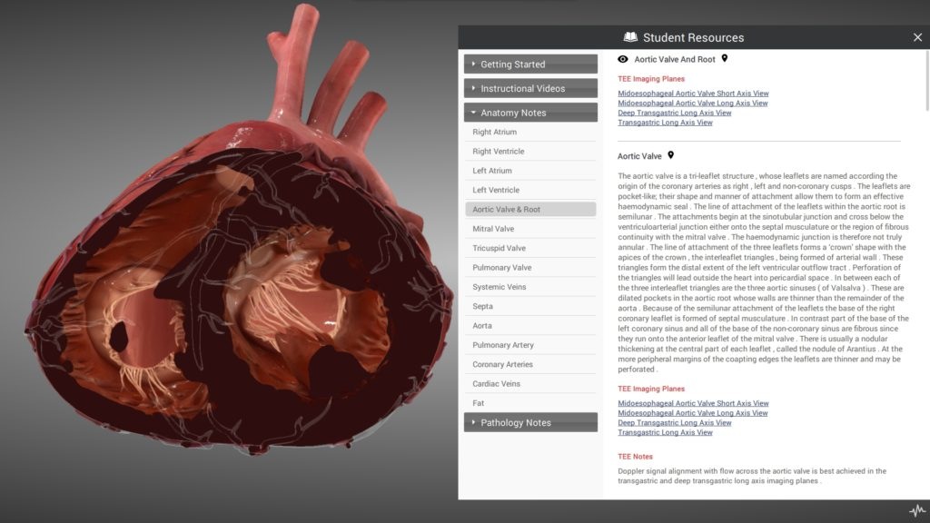 anatomy-module-1