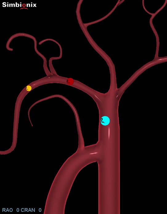 endovascular-basic-skills