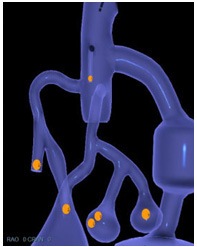 ep-basicskills-08-2012-web