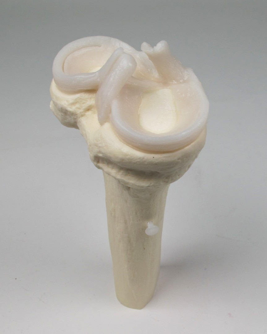 l-msm-01-06