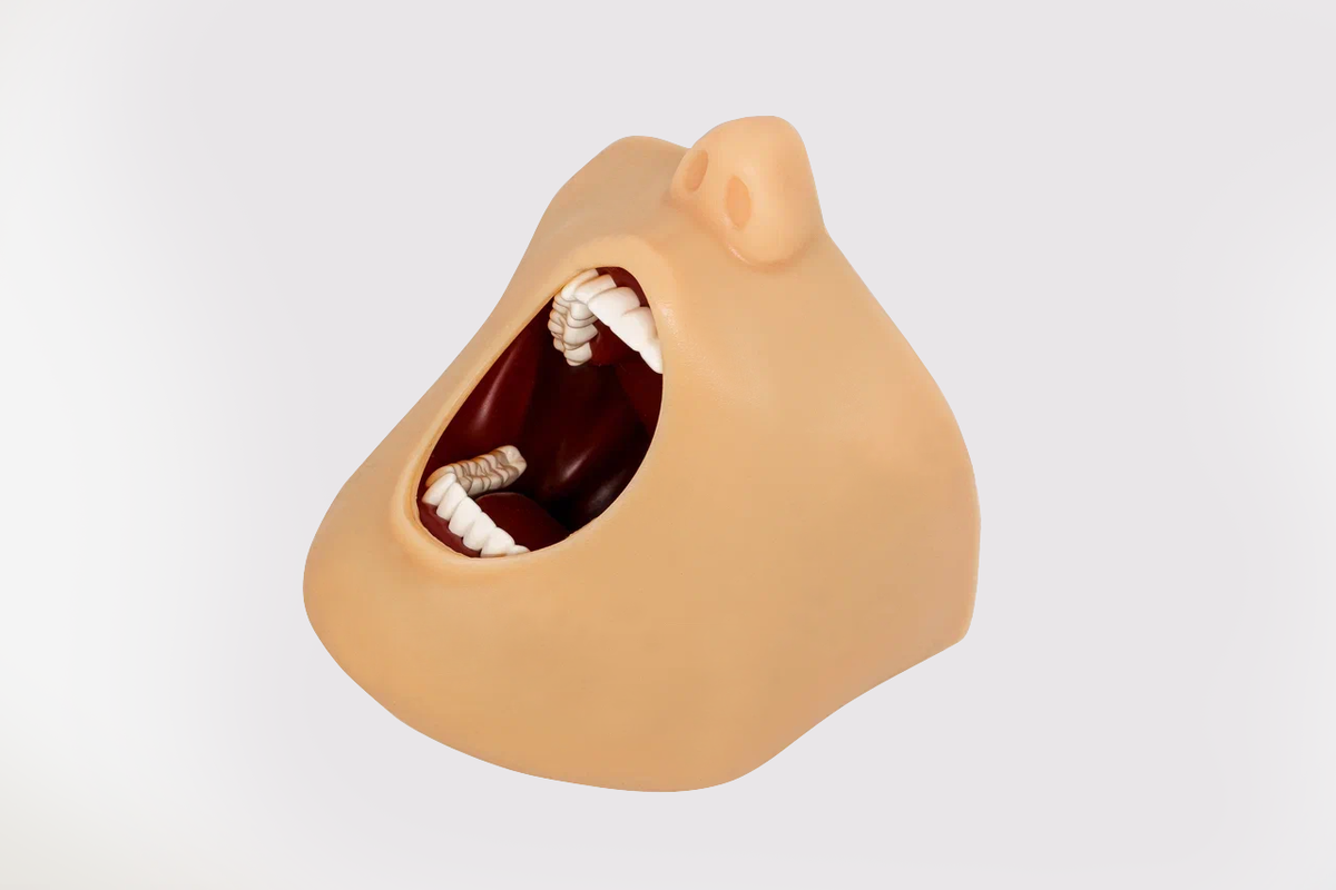 pd-ma