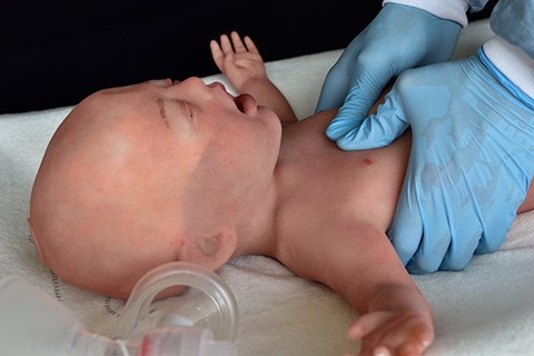 product-nena-infant-cpr