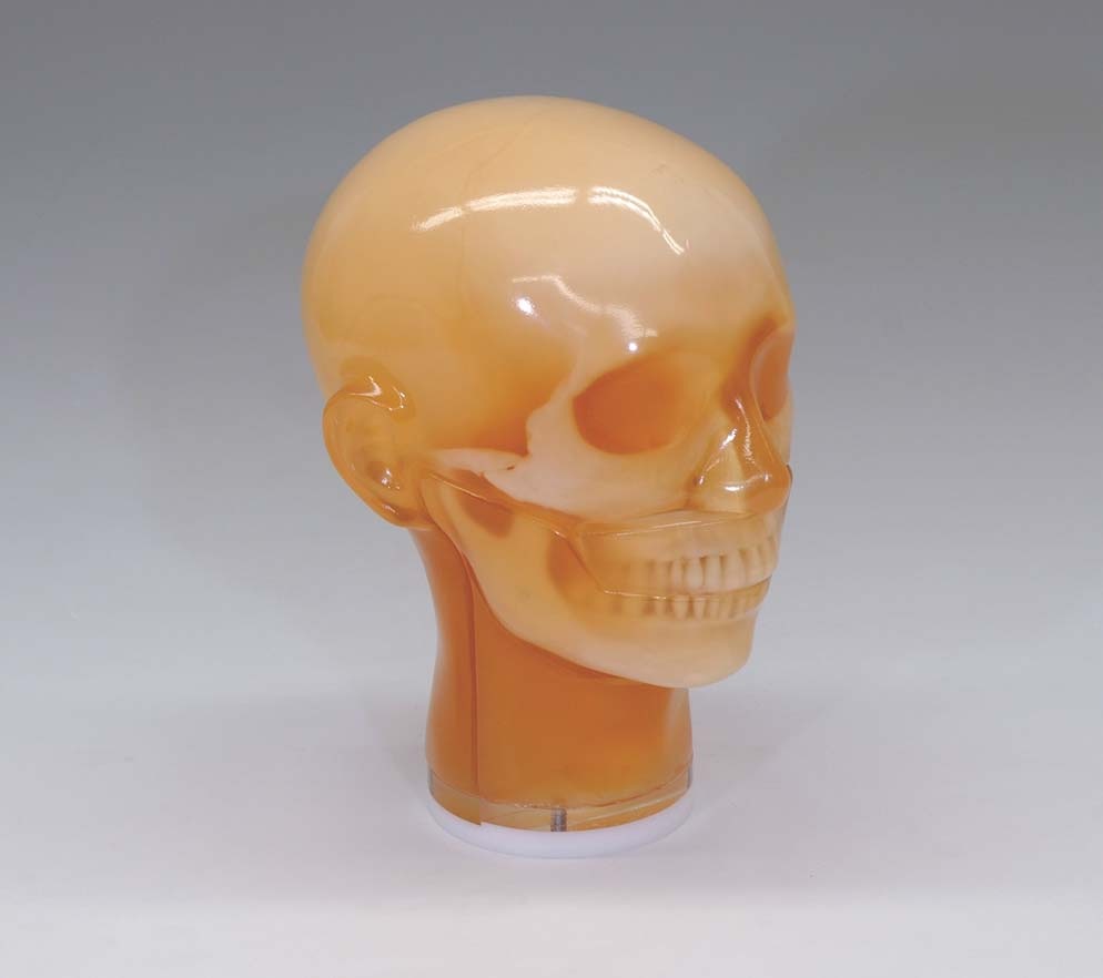 x-01-dental-head